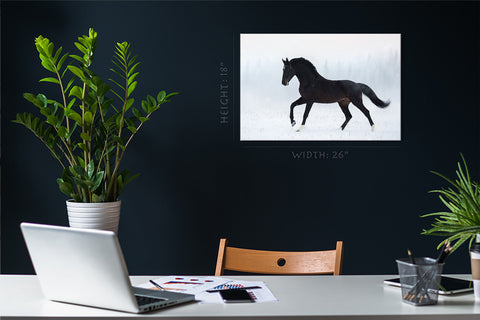 Canvas Print -  Black Hanoverian Stallion In Winter #E1021