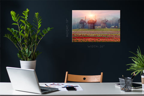 Impression sur toile - Plantation de tulipes et vieux moulins #E0730