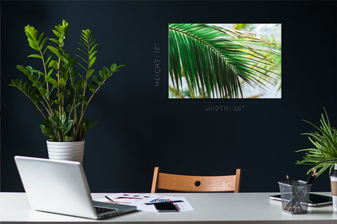 Canvas Print -  Morning Light At Green Palm Branch #E0714