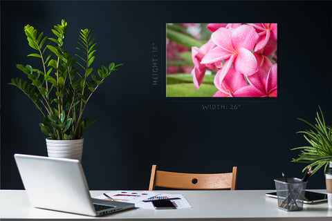 Impression sur toile - Plumeria rose en été #E0669