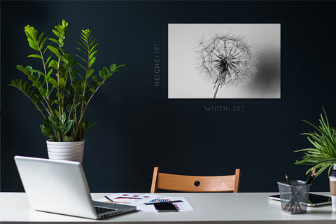 Canvas Print -  Dandelion Flower #E0814