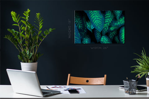 Canvas Print -  Tropical Foliage #E0825