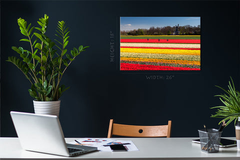 Canvas Print -  Field Of Tulips, Netherlands #E0748