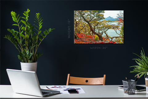 Canvas Print -  Magical Austral Forest In Tierra Del Fuego National Park #E0967