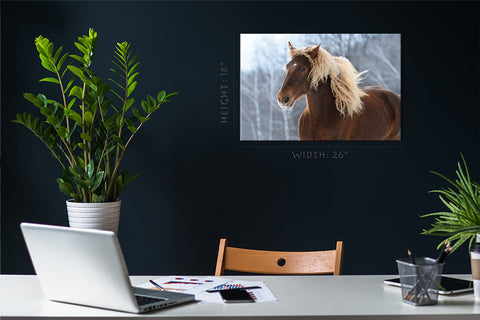 Canvas Print -  Brown Soviet Horse #E0905