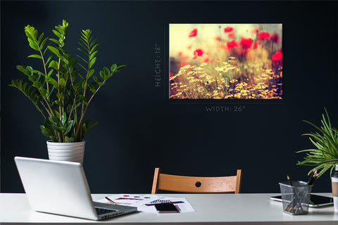 Canvas Print -  Daises At Morning #E0844