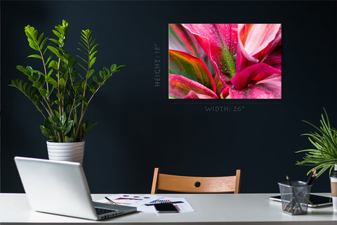 Canvas Print - Crimson Bromeliad Flower #E0670