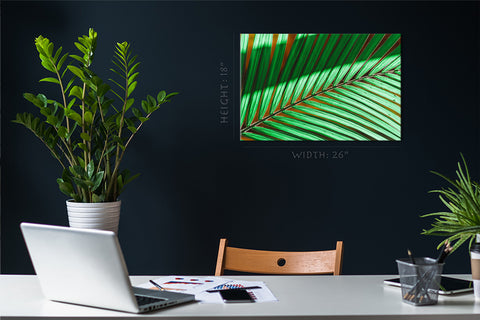 Canvas Print -  Green Palm Branch #E0716