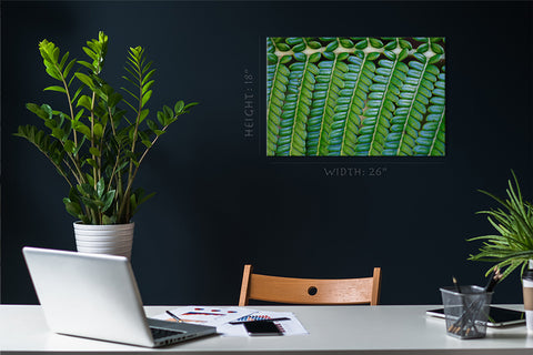 Canvas Print -  Fern Leaf #E0689