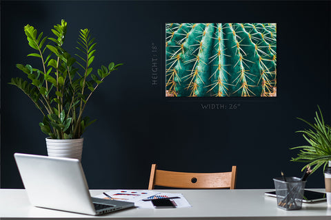 Canvas Print -  Thorn Cactus #E0639