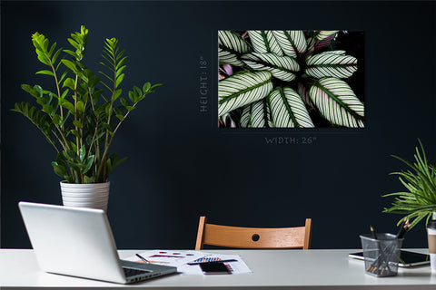 Canvas Print -  Striped Tropical Leafs #E0634