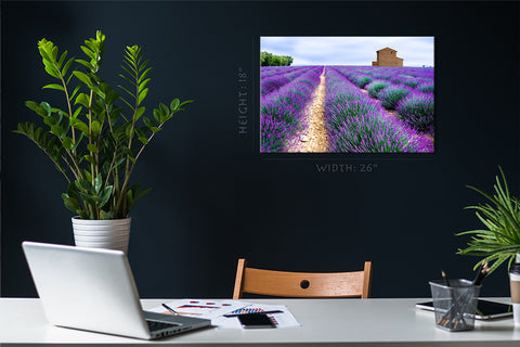 Canvas Print -  Lavender Field #E0758