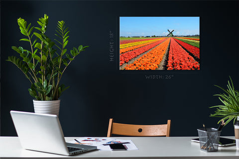 Impression sur toile - Tulipes colorées #E0750