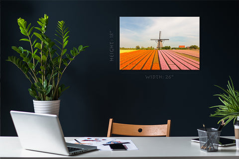 Canvas Print -  Blooming Field Of Colorful Tulips And Windmill #E0741