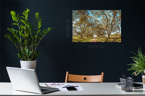 Canvas Print -  Oak Alley Plantation Panoramic View, Louisiana #E0960