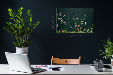 Impression sur toile - Fleurs d'herbe sur la pelouse #E0632