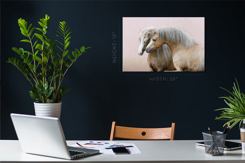 Canvas Print -  Two Welsh Ponies #E0904