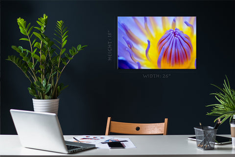 Canvas Print -  Purple Waterlily Pollen #E0651