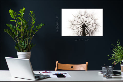 Canvas Print -  Beautiful Dandelion #E0815