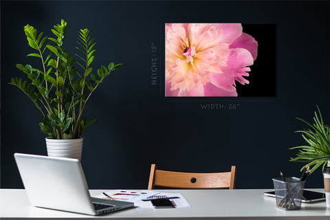 Canvas Print -  Pink Peony #E0688