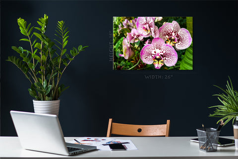 Canvas Print -  White And Purple Orchid #E0678