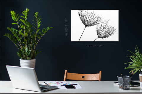 Canvas Print -  Black And White Photo With Dandelions #E0832