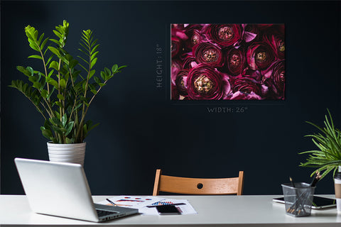 Canvas Print -  Burgundy Ranunculus Flowers #E0833