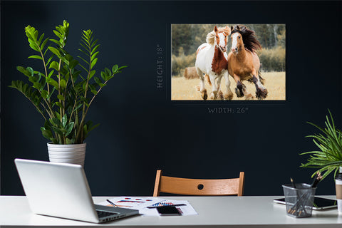 Canvas Print -  Horses Run Across The Field #E0895