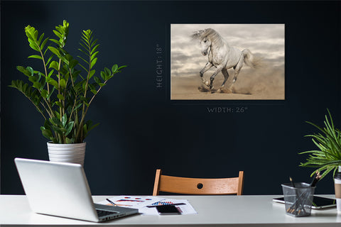 Canvas Print -  Andalusian Horse In Desert #E0890