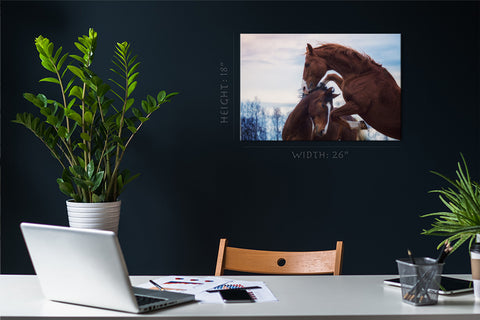 Canvas Print -  Portrait Of Two Playing Horses In Winter #E0917