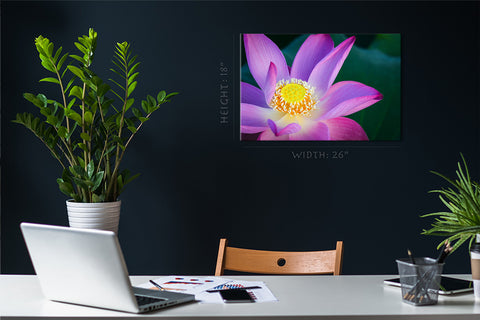 Canvas Print -  Lotus Flower On The Pond #E0635