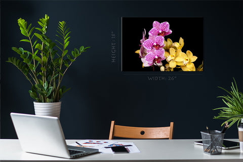 Canvas Print -  Multicolored Orchids #E0682