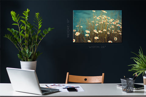 Canvas Print -  Daises Flowers #E0855