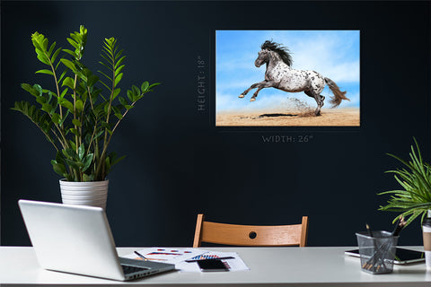 Impression sur toile - Cheval Appaloosa #E0903