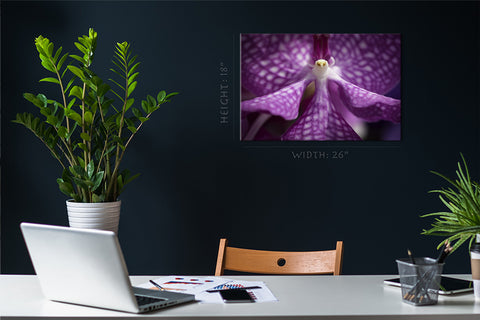 Canvas Print -  Purple Orchid #E0673