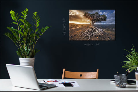 Canvas Print -  Dragon Trees At Dixam Plateau #E0959