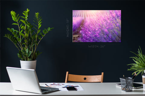 Canvas Print -  Blooming Lavender Flowers #E0791