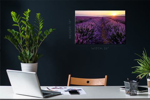 Canvas Print -  Lavender Field At Sunrise #E0785