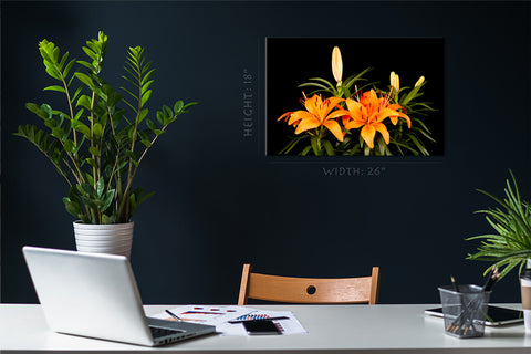 Canvas Print -  Wonderful Orange Lilies #E0691