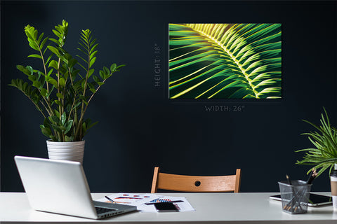 Canvas Print -  Sunlight Shining On Tropical Palm Leaf #E0641