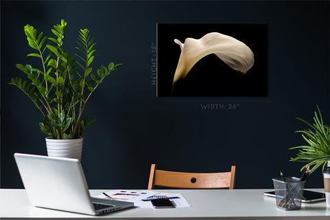 Canvas Print -  Big White Arum Lily #E0686