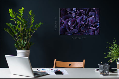 Canvas Print -  Dark Purple Hydrangea Flower #E0835