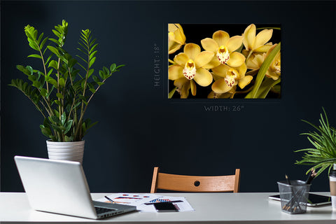 Canvas Print -  Yellow Orchids #E0684