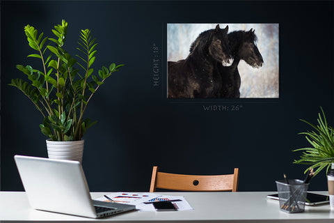 Canvas Print -  Portrait Of Two Black Horses In Winter #E0951