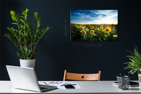 Canvas Print -  Yellow Sunflowers And Blue Sky #E0731