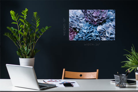 Canvas Print -  Beautiful Blossoming Blue And Purple Hydrangea Flowers, Close Up View #E0585