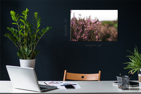 Canvas Print - Lavender in Natural Park ، هولندا #E0803