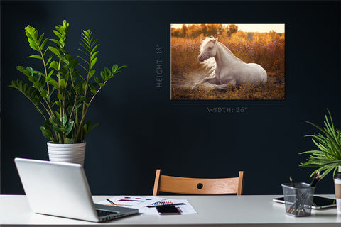 Impression sur toile - Poney gallois blanc dans le champ en fleurs #E0919