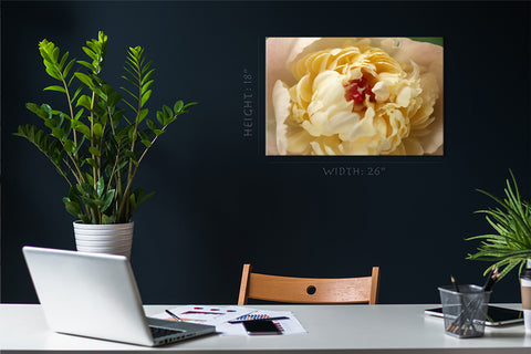 Canvas Print -  White Peony #E0697