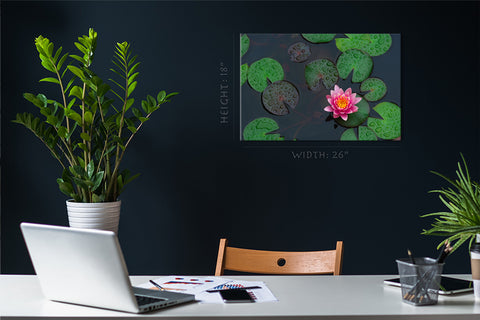 Impression sur toile - Fleur de Lotus #E0840